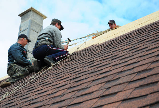 Roof Gutter Cleaning in Indialantic, FL